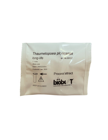 Phéromone Papillon de la chenille...