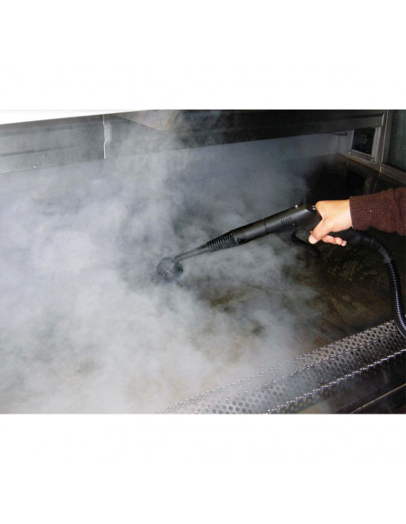 Nettoyeur Vapeur sèche Nusteam compact Numatic