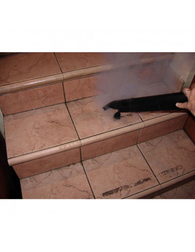 Nettoyeur Vapeur sèche Nusteam compact Numatic