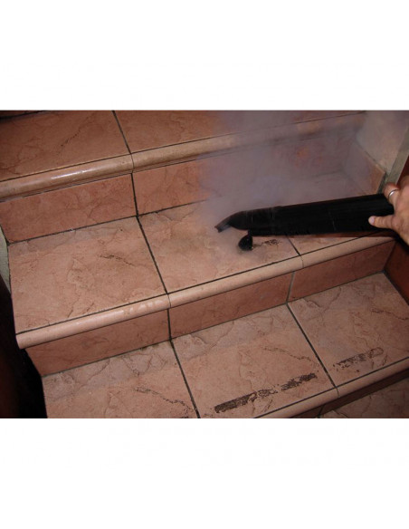 Nettoyeur Vapeur sèche Nusteam compact Numatic