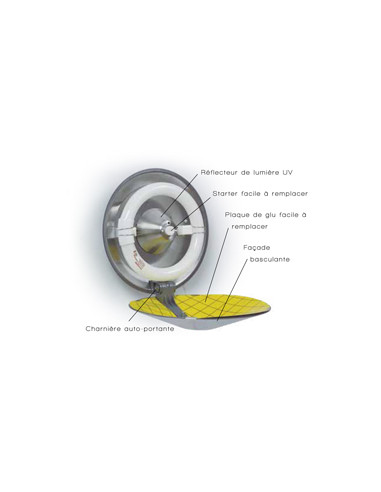 Destructeur insectes décoratif Insect-O-Cutor...